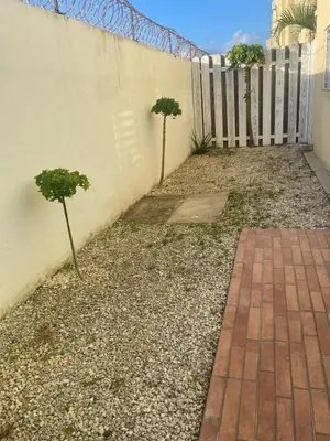 two small trees in front of a fence at Apartamento en Edificio Palmares in La Romana