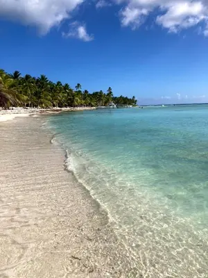 a beach with a group of palm trees and the ocean at Apartment Rozarka Soficu El Edén Dominicus in La Laguna