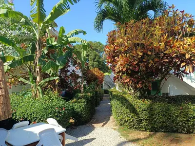 a garden with a white bench and trees and bushes at Cozy studio- centre - near beach in Las Terrenas