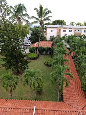 an aerial view of a yard with palm trees at acuario residencial 2 in La Viva