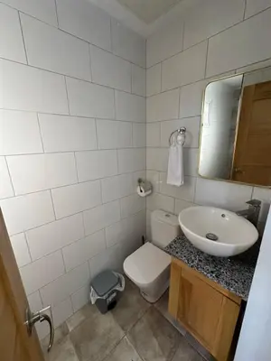 a bathroom with a sink and a toilet and a mirror at Apartamento Santo Domingo este in Juan López