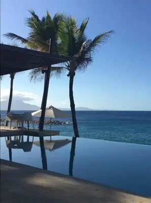 a swimming pool with two palm trees and the ocean at Infiniti blu beautiful apartment at the pool in Sosúa