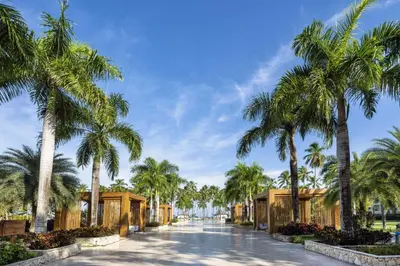 a palm lined street with palm trees in a resort at Viva V Samana by Wyndham, A Trademark Adults All Inclusive in Las Terrenas
