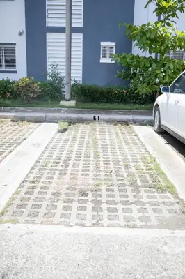 a group of ducks sitting in a parking lot at Beautiful condo in La Vega in Concepción de La Vega