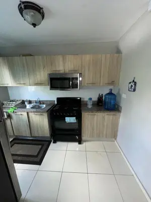 a small kitchen with a stove and a sink at La Romana Caleta Apartment in La Romana