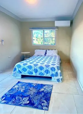 a bedroom with a bed and a window and a rug at Itzayana 1 in Las Terrenas