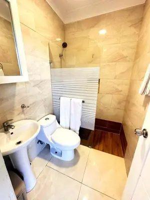 a bathroom with a toilet and a sink at Itzayana 1 in Las Terrenas