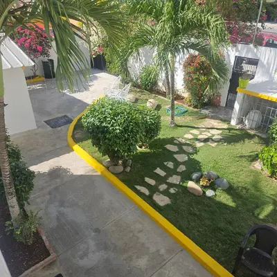 a garden with a tree and a yellow curb at Villa del sol in Infiernito