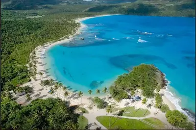 an aerial view of a beach with trees and blue water at Villa Ibiscus in Las Galeras