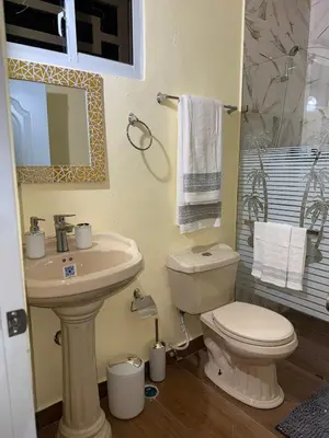 a bathroom with a sink and a toilet and a shower at Mi casa Amalia in Santa Cruz de Barahona