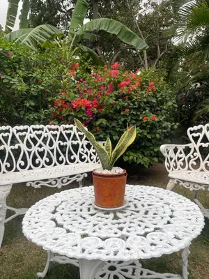 a white table with a potted plant on it next to two benches at Nancy house in Monción