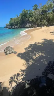 a view of a beach with trees and the ocean at MOREHomes - Caribe Slow Cost in Las Galeras