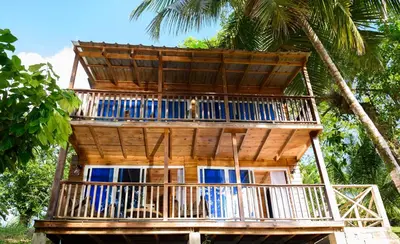 a tree house in the middle of a palm tree at villas ecologicas hacienda vista linda in Cabrera