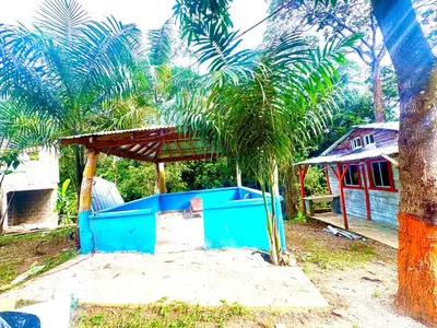 a blue house with a palm tree in front of it at Double P Ranch 20 guests, BBQ and pool Buggy rental in Pedro Brand