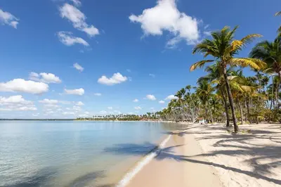 a beach with palm trees and the ocean at Las Cañas Playa Nueva Romana in El Soco