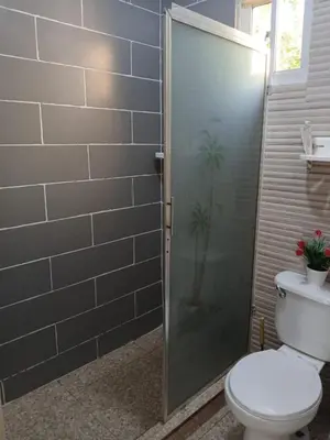 a bathroom with a toilet and a glass shower door at SDQ Apartment Marbella 4 in La Ureña