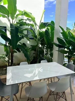 a white table and chairs in a room with plants at Taina village in Las Terrenas