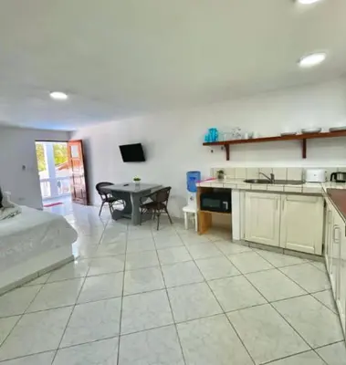 a kitchen and a living room with a bed and a table at Hotel Appartements Hummingbird CABARETE in Cabarete