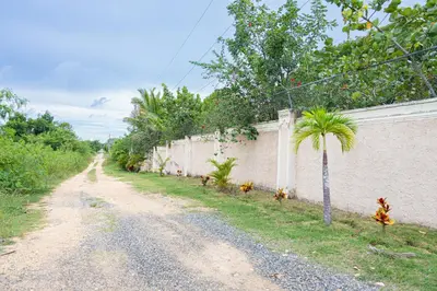 a dirt road next to a wall with a palm tree at Rancho Juliana in Villas del Mar