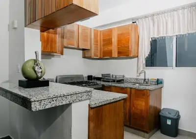 a kitchen with wooden cabinets and a green apple on the counter at Caribey2 APT 3D1 in Las Terrenas