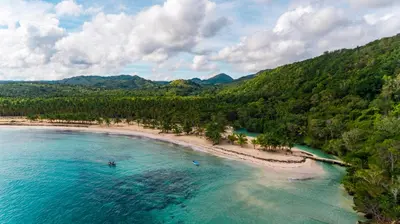 an aerial view of a beach with palm trees at Mango house bliss in Las Galeras