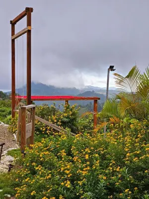 a field of flowers with a mountain in the background at Pure Nature - Eco-lodge in the Mountains! in La Búcara
