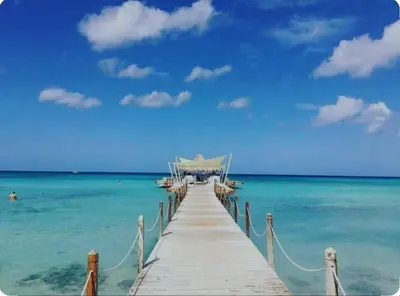 a dock in the ocean with boats on the water at Luxury sea Cadaques Caribe in Bayahibe