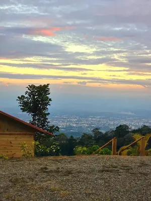 a tree sitting on top of a hill near a building at Mountain refuge - Cabin with wonderful views! in La Búcara