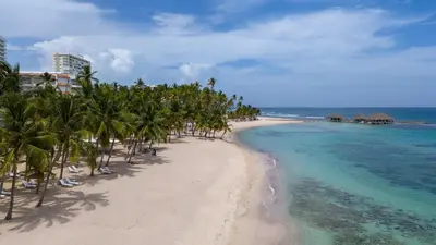 a beach with palm trees and the ocean at Rosa s Hidden Gem beach wifi in Los Corrales