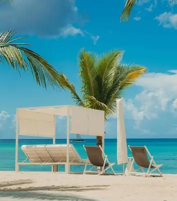 two chairs and a bed on a beach with a palm tree at Aqua Esmeralda by Advantage Club in La Laguna