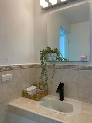a bathroom sink with a mirror and a plant at Kassuky Home in Cabarete
