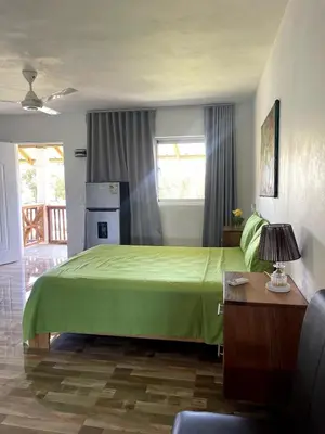 a bedroom with a bed with a green bedspread at Apartamento Dani's Guest House con piscina in Las Galeras