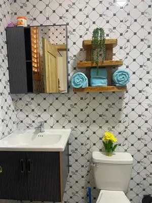a bathroom with a sink and a toilet and a mirror at Habitacion 1 en Dani's Guest House in Las Galeras