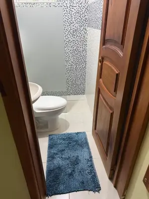 a bathroom with a toilet and a blue rug at Hotel El Bonao in Higuey