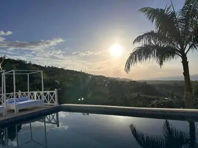 a villa with a swimming pool with a palm tree at Villa Blanca, Las Terrenas, 4 chambres in Las Terrenas
