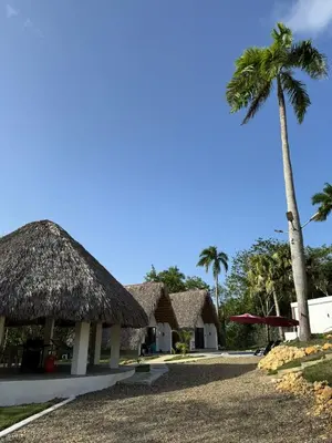 a building with a thatched roof and a palm tree at Charming Bungalow with Pool in Sosúa