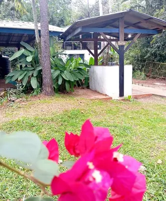 a bunch of red flowers in a yard at Chalet Thevenin Art Accommodation in Jarabacoa