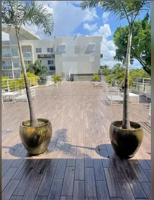 two palm trees in large pots on a courtyard at Luxury apartment Riviera Colonial in Calero