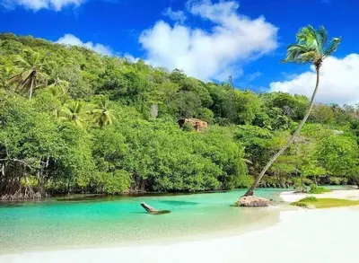 a palm tree on a beach with blue water at Apartamento Costero 2 en Las Galeras in Las Galeras