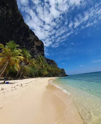 a beach with palm trees and the ocean at Apartamento Costero 2 en Las Galeras in Las Galeras