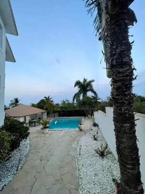 a palm tree next to a swimming pool at Villa with Oceanviews for All Types of Travelers in San Felipe de Puerto Plata
