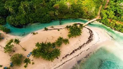 an aerial view of a beach with palm trees and water at Playa Grande House in Las Galeras