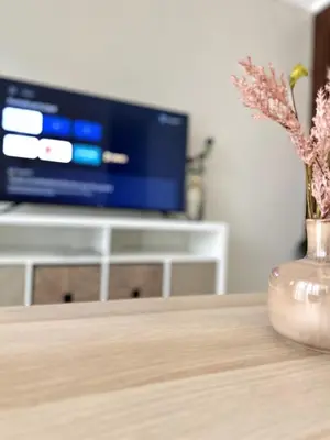 a vase of flowers sitting on a table in front of a tv at Belive 01 Condo in Santiago, the heart of the city in Santiago de los Caballeros