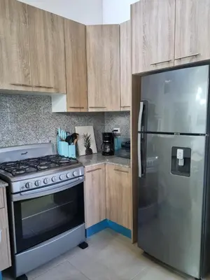 a kitchen with a stove and a stainless steel refrigerator at Apartment w private terrace and Jacuzzi in Las Terrenas