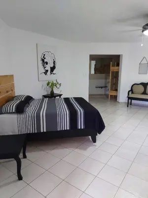 a bedroom with a bed and a table with a plant on it at Surf & Stay Waveriders, Encuentro in Cabarete