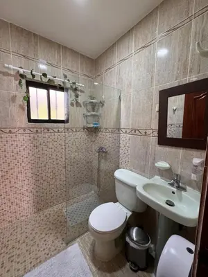 a bathroom with a toilet and a sink and a shower at Villa BayRum in San Felipe de Puerto Plata