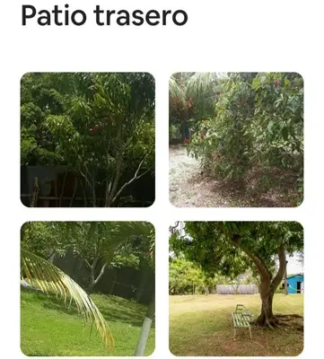 four pictures of a park with a tree and a bench at paradise ranch san cristobal in San Cristóbal