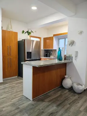 a kitchen with a stainless steel refrigerator and wooden cabinets at Sunflower Bayahibe with pool in Bayahibe