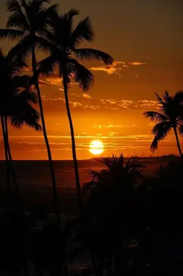 a sunset with palm trees in front of the ocean at Escape Beachfront Condo Costa del Sol Juan Dolio in Los Corrales