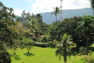 a lush green yard with palm trees and a house at Luxury Apartment close to centre of Jarabacoa in Jarabacoa